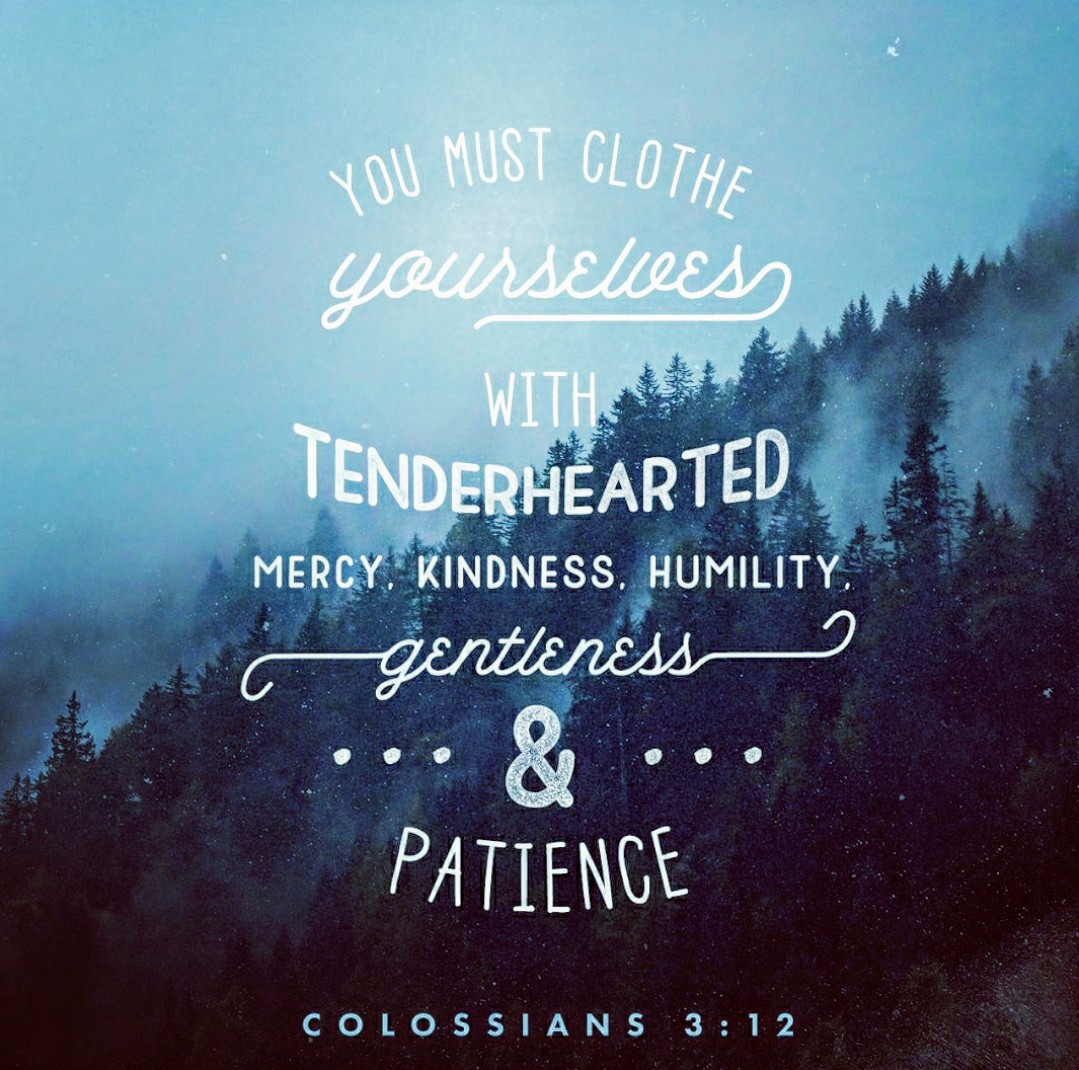 LakeMountCoC's tweet photo. Put on therefore, as the elect #ofGod, #holy &amp; #beloved, bowels of #mercies, #kindness, #humbleness of mind, #meekness, #longsuffering;
#Colossians 3:12 #KJV
#VerseOfTheDay #DailyLiving
#ReadMoreForContext #Bible
#GodsWord #BestPractices
#SoulFood #GodIsLove #Jesus
#Beattitudes https://t.co/2rbgqZ6X6w