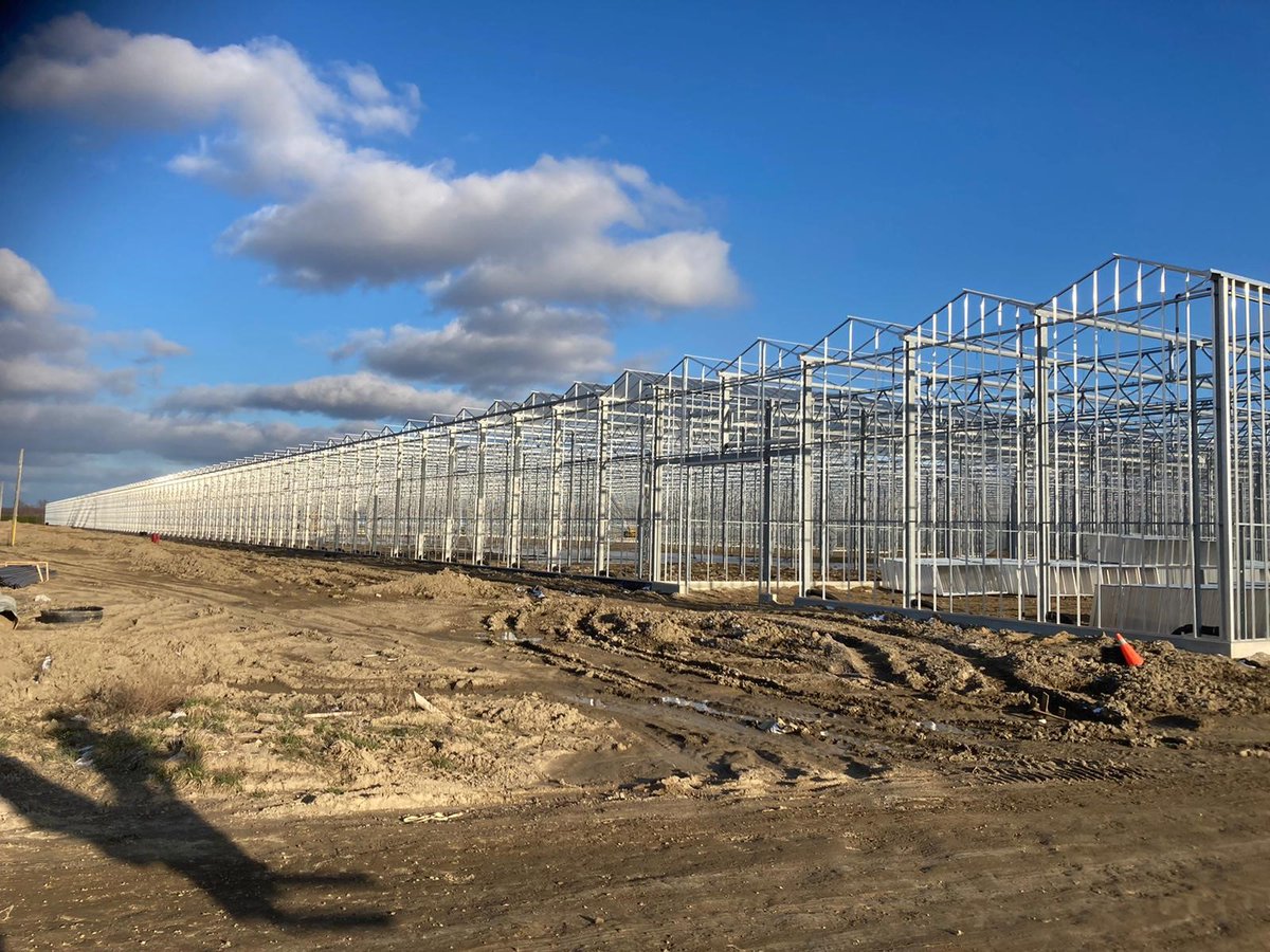 Havecon's tweet photo. Projectupdate week 21: 'Speeding up!' 💯💪🔛🔝

NL: https://t.co/wNhN3ne3r0
EN: https://t.co/O5p7MxpyPj

Goed en zonnig weekend/Have a great and sunny weekend!

#havecon #voorwindengroep #speedingup #kassenbouw #greenhouseconstruction #buildtogrow https://t.co/J3uq1SVH4F