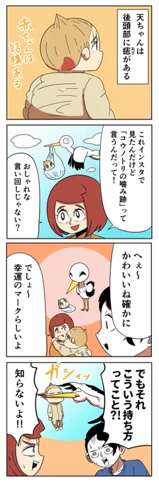 娘の後頭部にはアザがある 