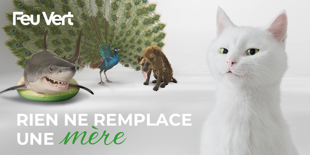 Feu Vert Feuvert Fr Twitter