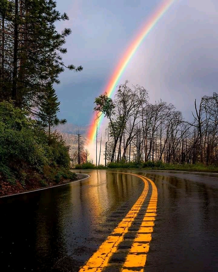 WakaMillicent's tweet photo. if you want to be happy ,set a goal that commands your thoughts liberates your energy and inspires your hopes
#FridayVibes https://t.co/9qbAptGzM7
