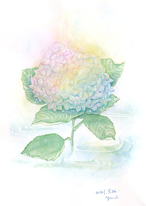 透明水彩のtwitterイラスト検索結果