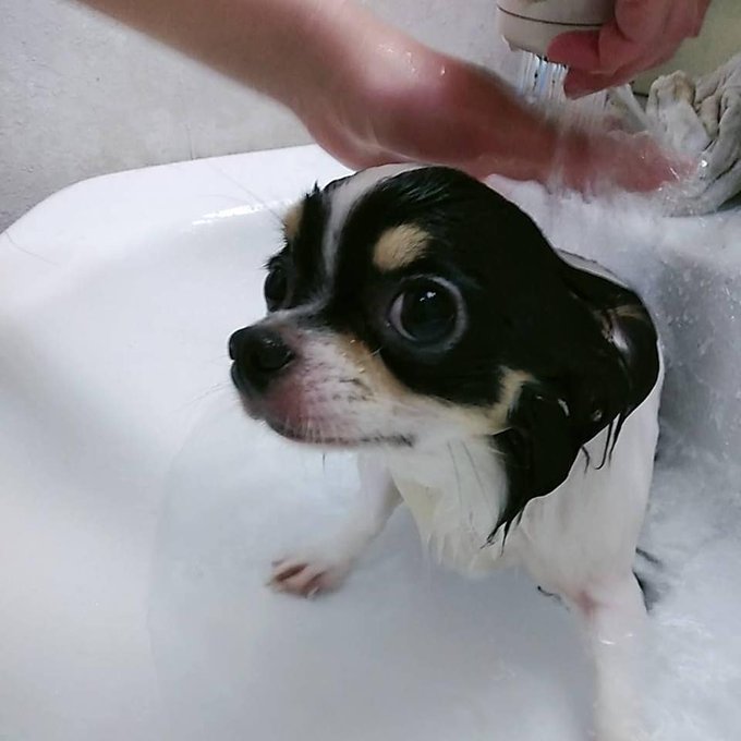 Twitterのコスプレ画像3