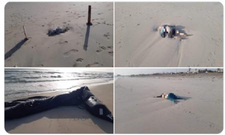 Limportant_fr's tweet photo. Libye: des corps d'enfants et de bébés s'échouent sur une plage https://t.co/sexRerjE5O #Afrique https://t.co/T1vJlLX1Pv