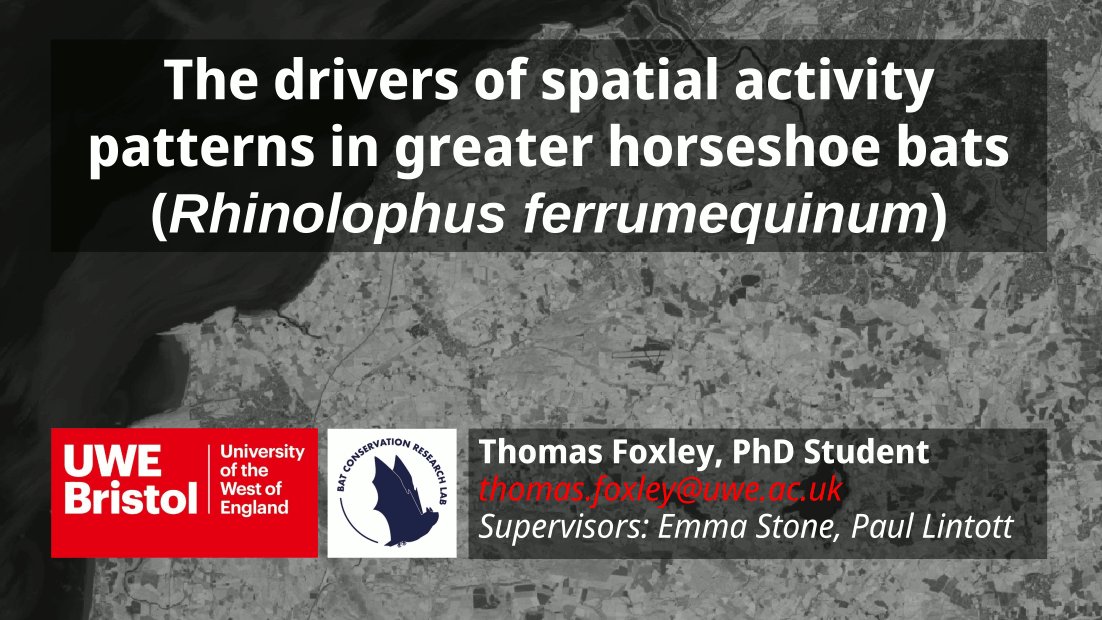 1. Hello #WBTC2 #Move1. Presenting results from an acoustic study investigating the drivers of spatial activity patterns in #greaterhorseshoebats. Aim was to understand how bats use the landscape to minimise the impact of development on GHS #landscapeecology #acousticmonitoring