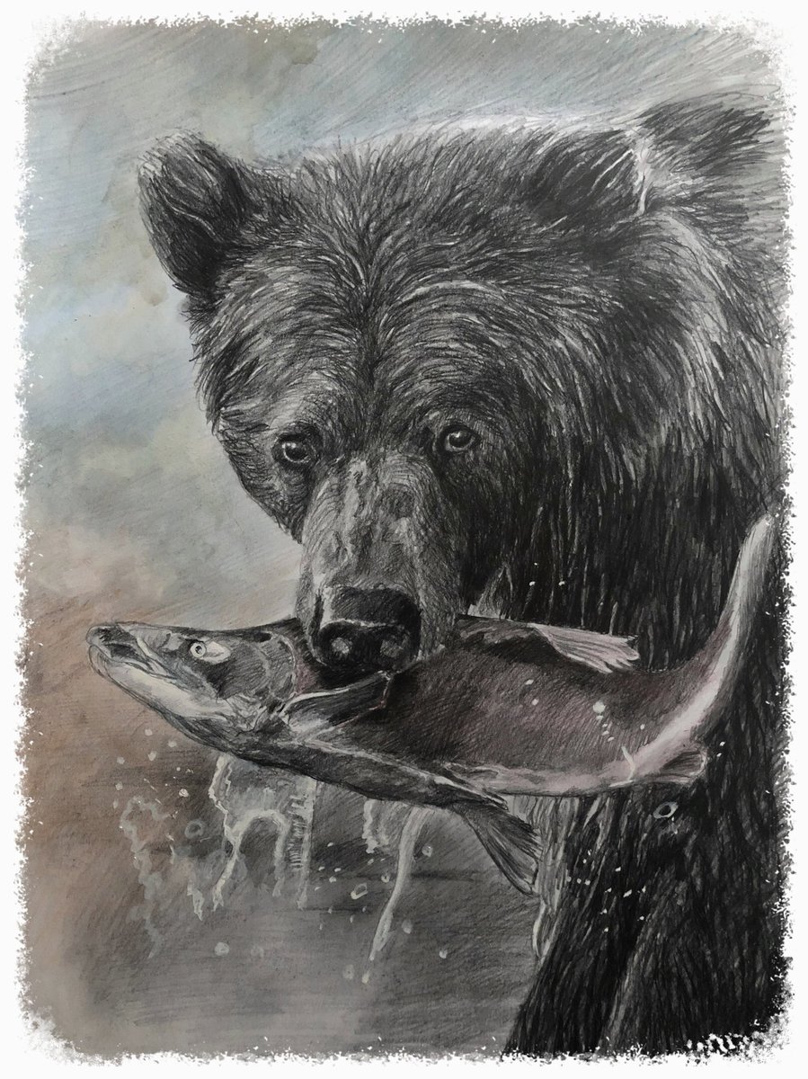 Ragneidr's tweet photo. inspired by lovely Wildlife photographer Gregory Piper. Discovery Channel•Nat Geo contributing photographer #медведи #аляска #bear #alaska #nature #wildnature #graphic #pencildrawing #pencilart #blackandwhite #rtshare #instaart #artist #artoftheday #artshare https://t.co/mHwbYHWI0U