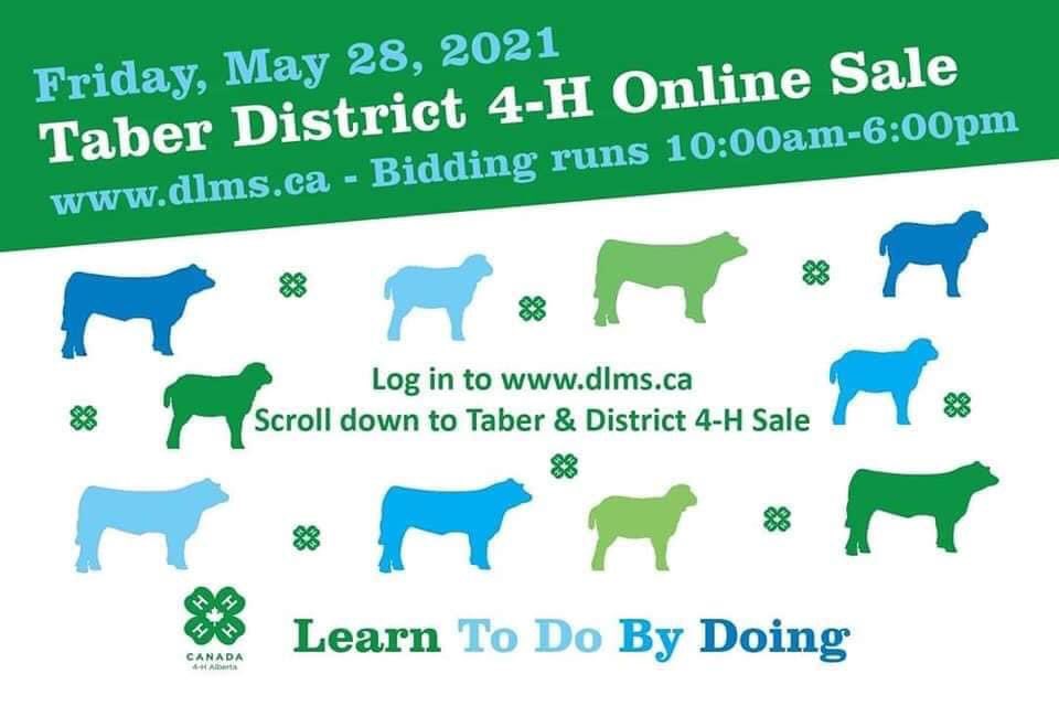 Taber District 4H sale runs today on DLMS. Your support is appreciated.
