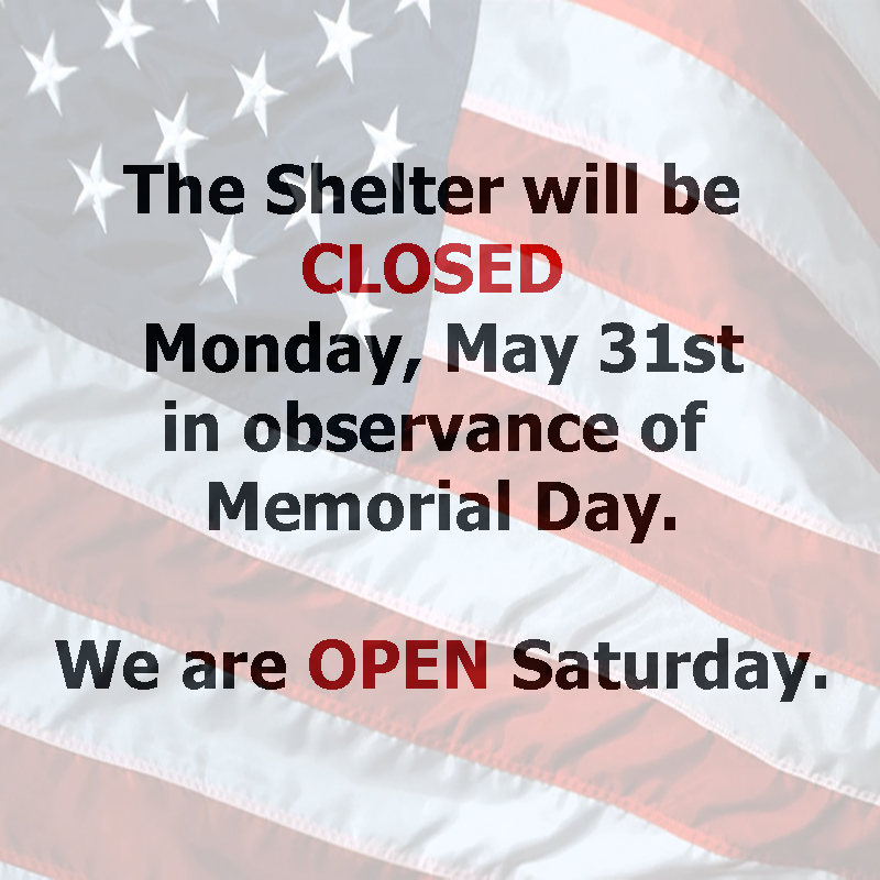 We are open today, Friday and tomorrow, Saturday. We are only closed on Monday.