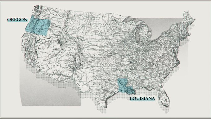 Laura Pitter tweet media