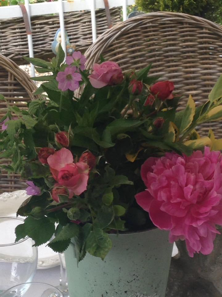 MaisondeFlore's tweet photo. Le jardin est en fleurs je vous souhaite une belle journée du vendredi. ☀️🌱🌿🪴🌸🌺#homesweethome#￼ https://t.co/Bqpc3kg2Xh