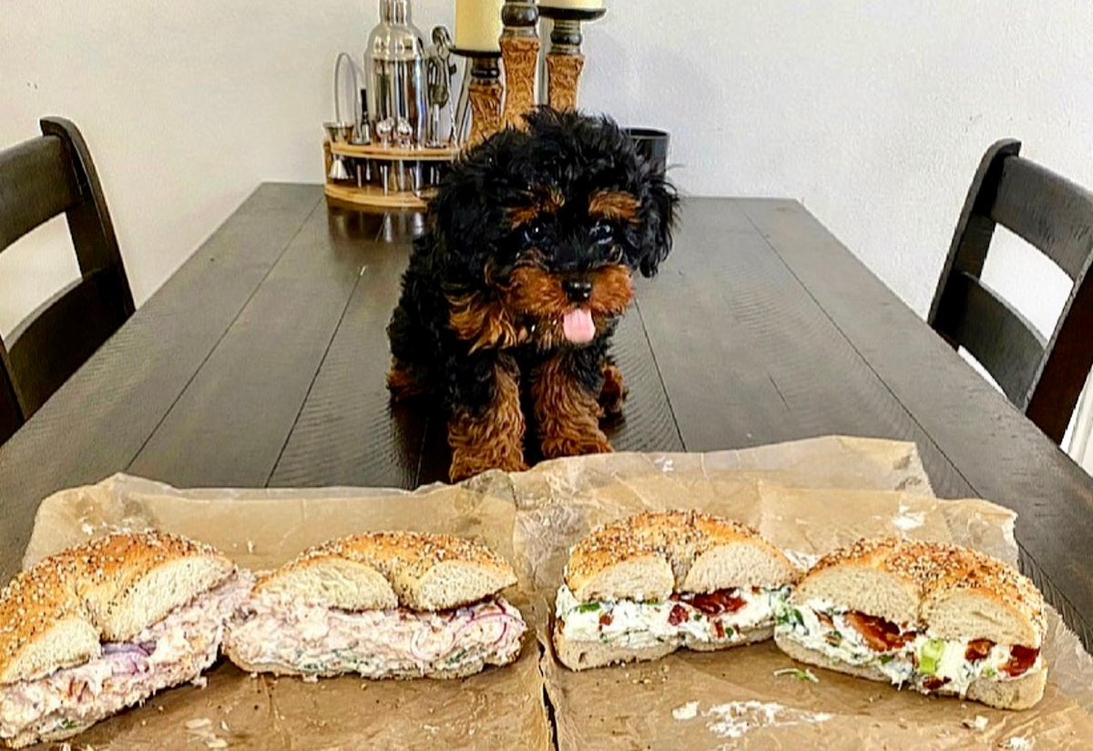 Brooklyn Bagel & Coffee Company tweet media