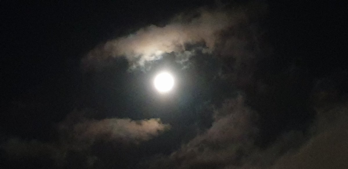 CherScheff's tweet photo. Friday night Moon in a cloudy sky. 

#Sydneyskies 
#FridayMoon https://t.co/AcGROQP7zp