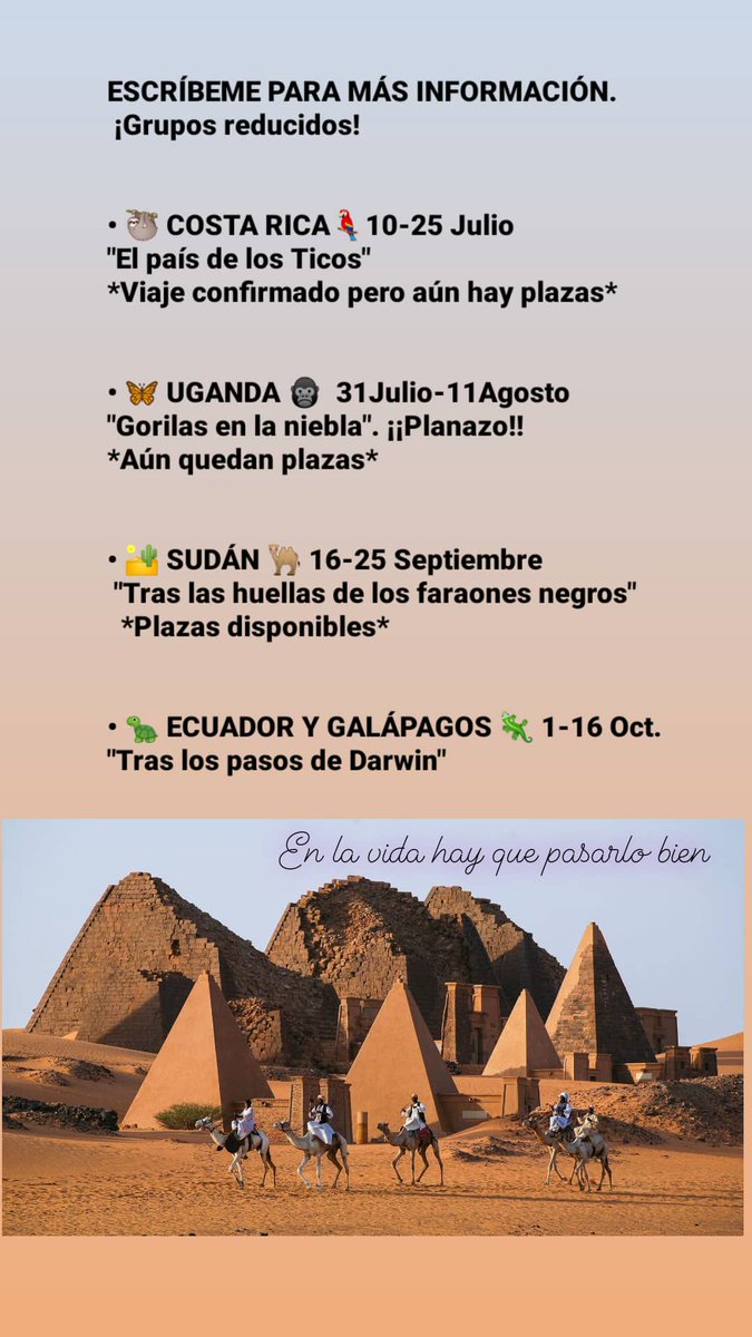 ¡¡Ya podéis apuntaros a mis viajes verano 2021!!
***No te pierdas el último verano sin turistas.***

🦋 Costa Rica, Uganda, Sudán, Ecuador y Galápagos 🦍

 ¿TE VIENES CONMIGO?

ESCRÍBEME PARA MÁS INFORMACIÓN. ¡Grupos reducidos! misviajesporahi@gmail.com 

Hilo 👇👇
