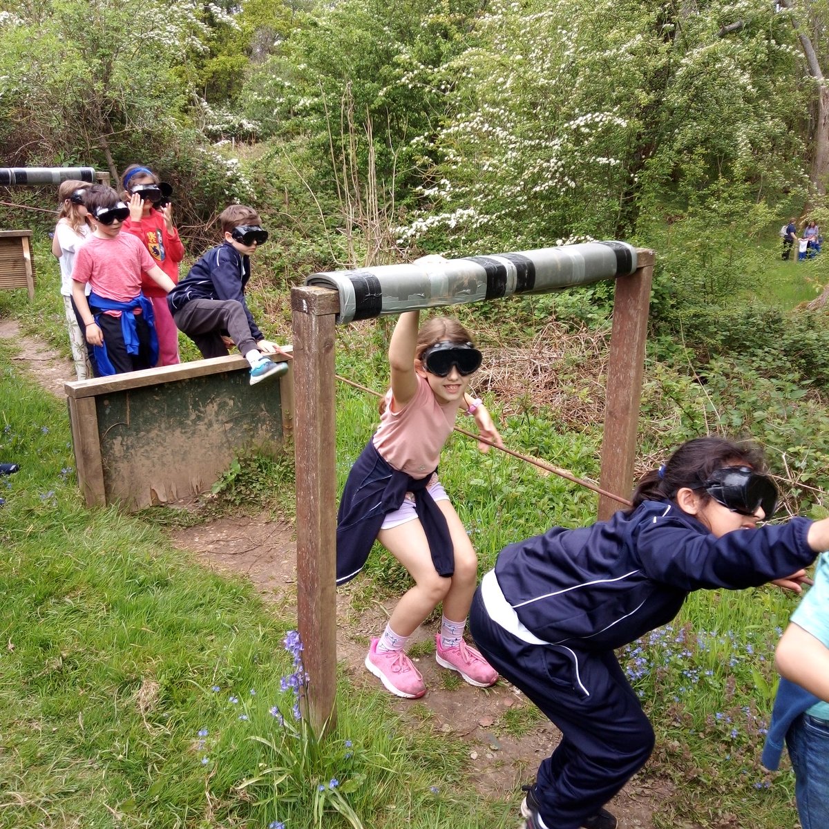 Danesfield Manor School tweet media
