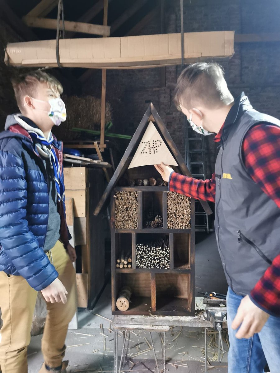 stefan_kolucki's tweet photo. W ramach Programu #ROHiS ⚜️💰 Drużyna Harcerska 'Łaziki' zrealizowała projekt 'Budki lęgowe i hotel dla owadów 🐝'. 👏
#NGO @SulecinekPl @kreatywnysenior @bobiko @ZHP_PL @jego_mycha
https://t.co/HvqKwAOati https://t.co/55LRuyygAT