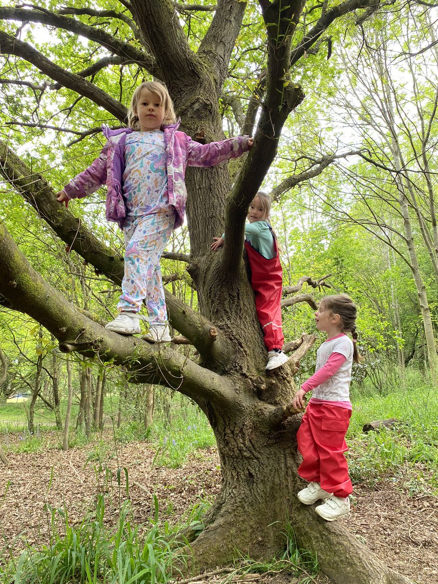 Rowan Preparatory School tweet media