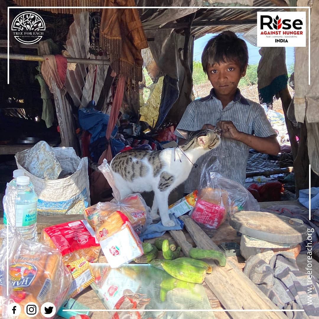 treeforeach's tweet photo. Ending hunger in Faridabad is a goal that is literally within our grasp. We the team of Tree For Each Foundation is distributing food packets to the people living on the streets.
#pandemic #treeforeach #IndiaFightsCorona #COVID #Hunger #coronavirus #Homeless #Faridabad #Haryana https://t.co/CLNmGwpncR
