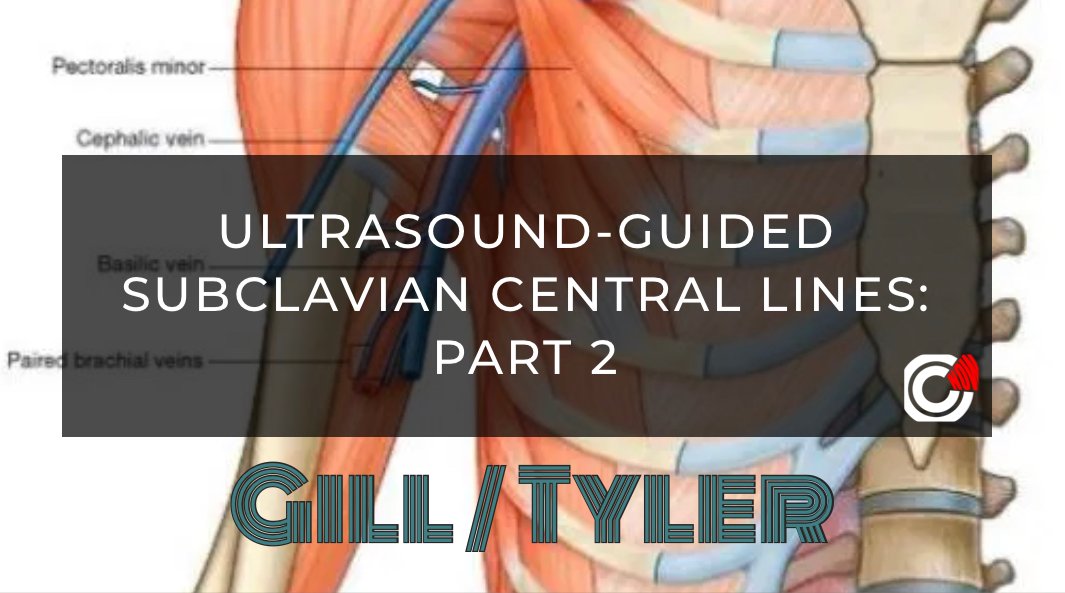 Haney Mallemat tweet media