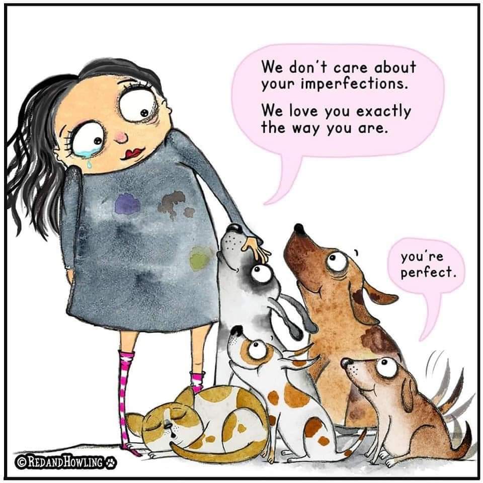 AnimalSonipat's tweet photo. Trust me you're perfect for the dogs if you feed to them ❤️
Follow me on instagram @animalrescue_sonipat
.
#humanity #animalwelfare #adoptdontshop #animals #animalrights #animalrescue   #animallover #dogsaversonipat  #dogloversonipat  #saveanimalsonipat  #animalrescuesonipat https://t.co/Luz86lPFA9