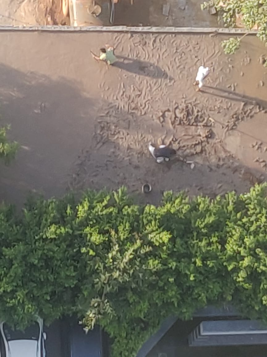 Dlfultima1's tweet photo. @munishIAS @MCManesar these are today's pictures.... even after MCM notice construction in full swing...

Please take action otherwise soon shops will be operational. https://t.co/hp41P7gkbz