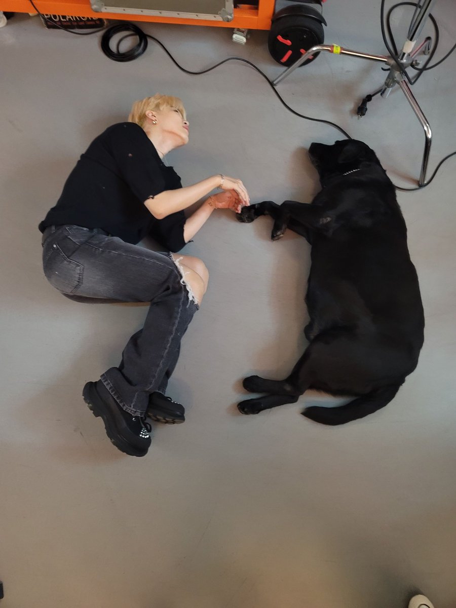 AFooBangFoo's tweet photo. 위버스에 올린 지민이🐶
왜이리 귀엽니😆💜
#BTS #JIMIN #BTS_Butter https://t.co/itYIaNMv5W