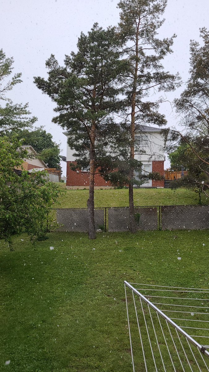 It may be hard to tell (or believe), but yes that's snow. And yes it's the end of May. And yes it was 30 degrees 2 days ago. And no I don't want to hear about 'Only in Canada...' 😂
#bringbackthesun