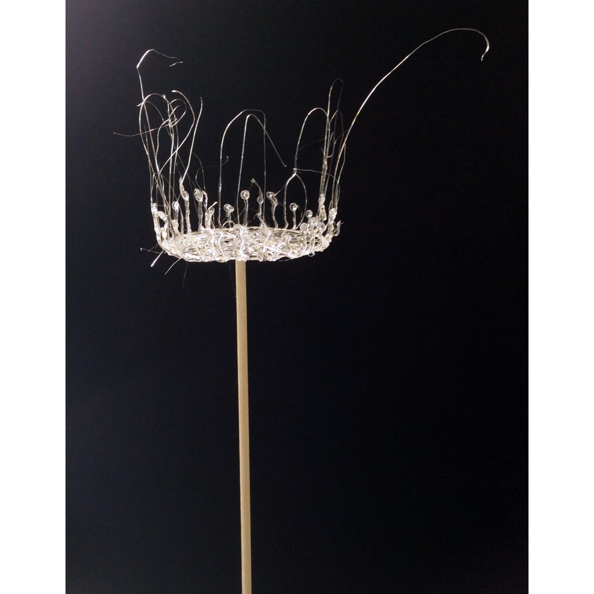 RBGECreative's tweet photo. Our fascinating ‘Think Plastic: Materials and Making’ exhibition is travelling north and will be on show 12 June – 28 August at Taigh Chearsabhagh Museum & Arts Centre, North Uist.
Head over to @Taigh_C for more details & how to visit!
@TheBotanics #ThinkPlastic #Uist https://t.co/PuSPjFzNkY
