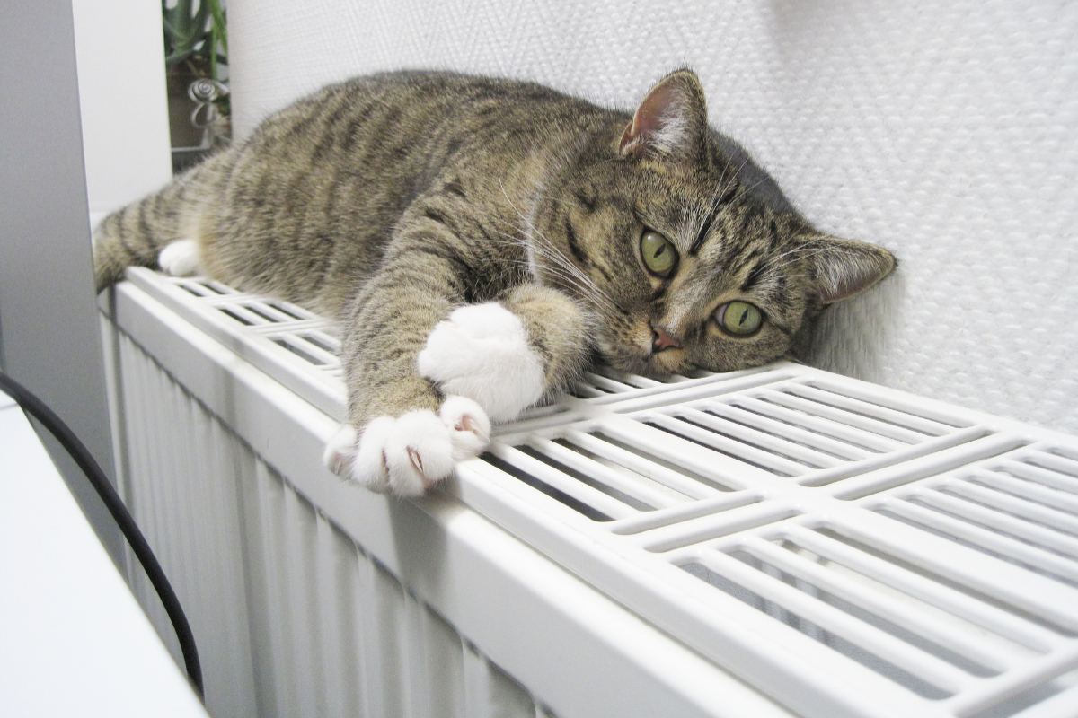 Zo gaat Dordrecht van het gas af hallodordrecht.nl/nieuws/bericht…
#Dordrecht