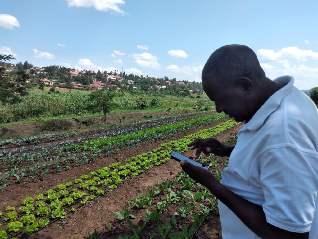 <a href="/eProdSolutions/">eProd Solutions Limited</a> LMS on-field training. #digitaltools at our Masaka farm 📲 #Capacitybuilding #managmenttools #agribusiness #organicfarming  eprod-solutions.com