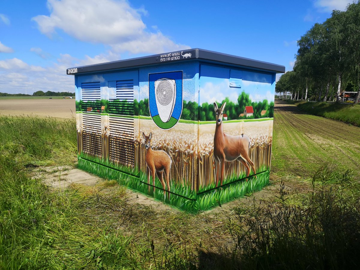 schoene_syke's tweet photo. Pünktlich zum Wochenende ein farbenfroher Gruß aus #Colnrade #Beckstedt! #TrafoKunst @AvaconAG 💚💙 https://t.co/qX4tvXkRY2