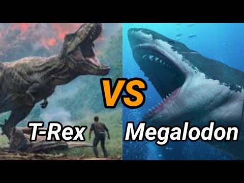Megalodon Shark Vs T Rex