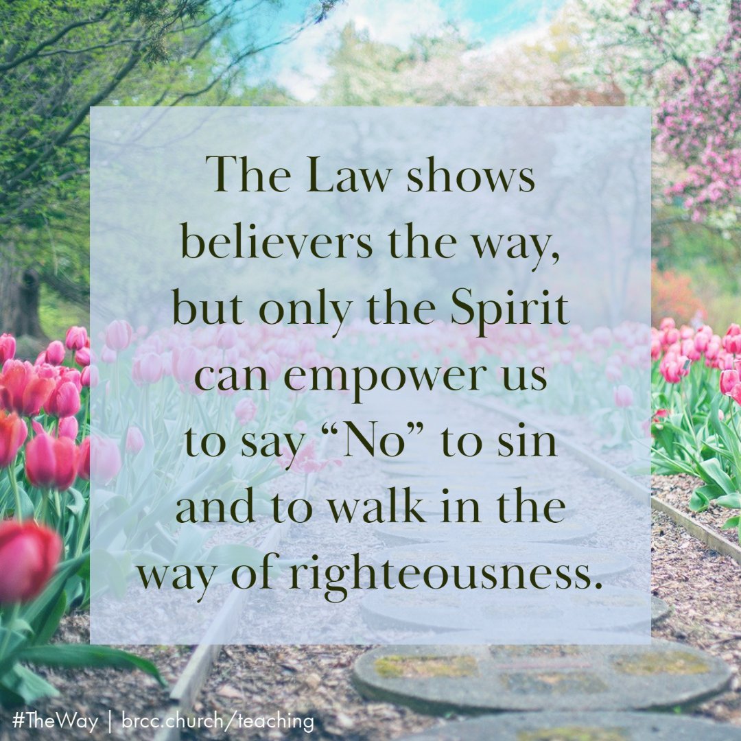 BayRidgeCC's tweet photo. #TheWay | @brethicks | The Way - Walking by the Spirit #WalkingByTheSpirit https://t.co/IfGX6QXU5X
