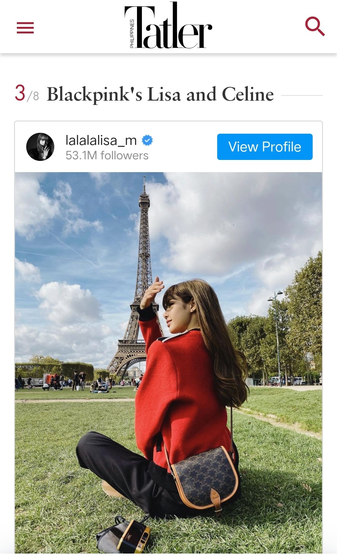 Lilies Home on X: Lisa is a true-blue Celine muse. She's often wearing  bags from the French fashion house, whether it's the Triomphe Ava bag or  the Triomphe bag in calfskin, as