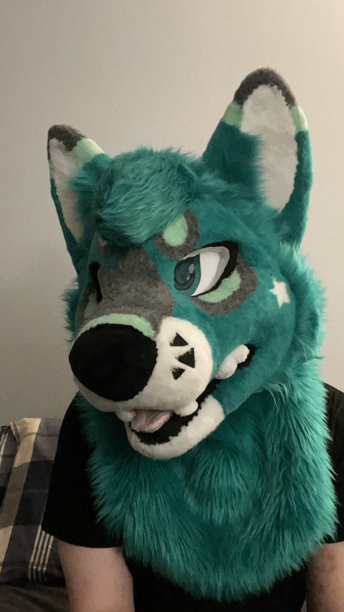 Ardimiss_the_wolf tweet media