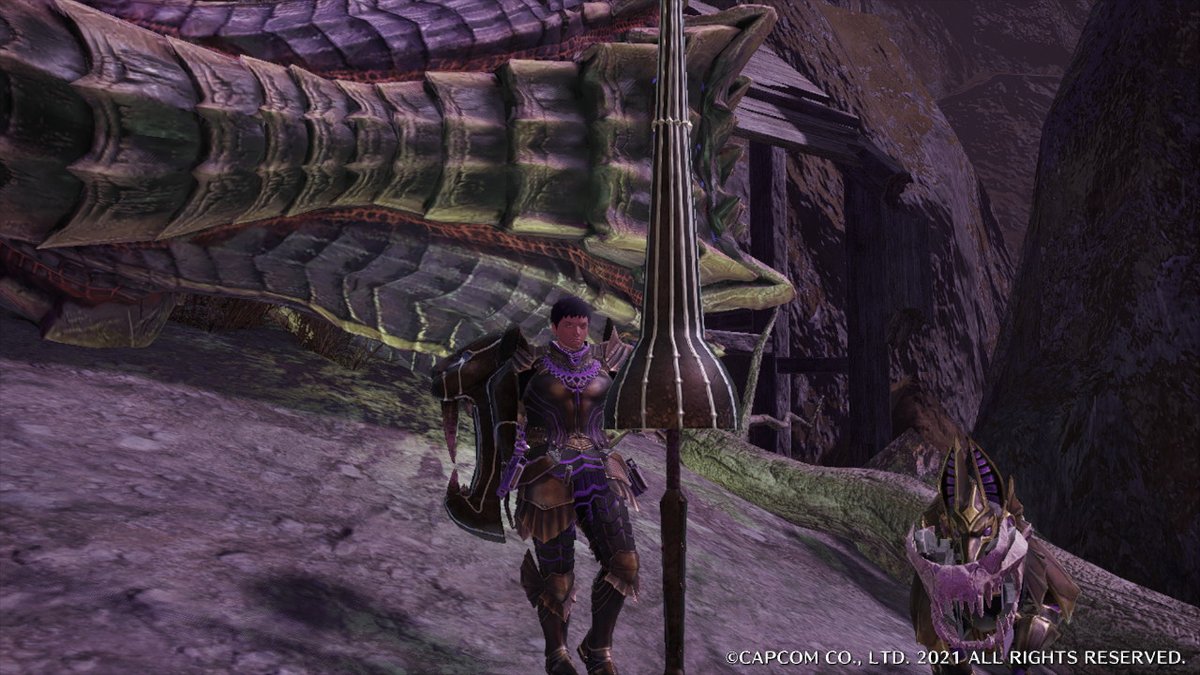 テク 鋼槍狩人 鋼槍狩人なので 愛槍のテリオス ダオラで行ってきました