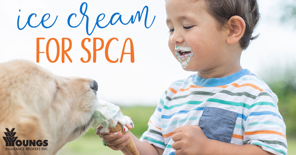youngsinsurance's tweet photo. Help animals in need by joining our annual #IceCream4SPCA on June 18 - Weโre proudly supporting:
@forteriespca
@HB_SPCA
@HumaneSocietyLM
@LincolnCountyHS
@nfhumanesociety
AND MORE!! #GiveBackOntario #bewise #InsuranceWithIntegrity #OntarioBrokers https://t.co/aPDdTLyXmD https://t.co/q2zEa3FCUW