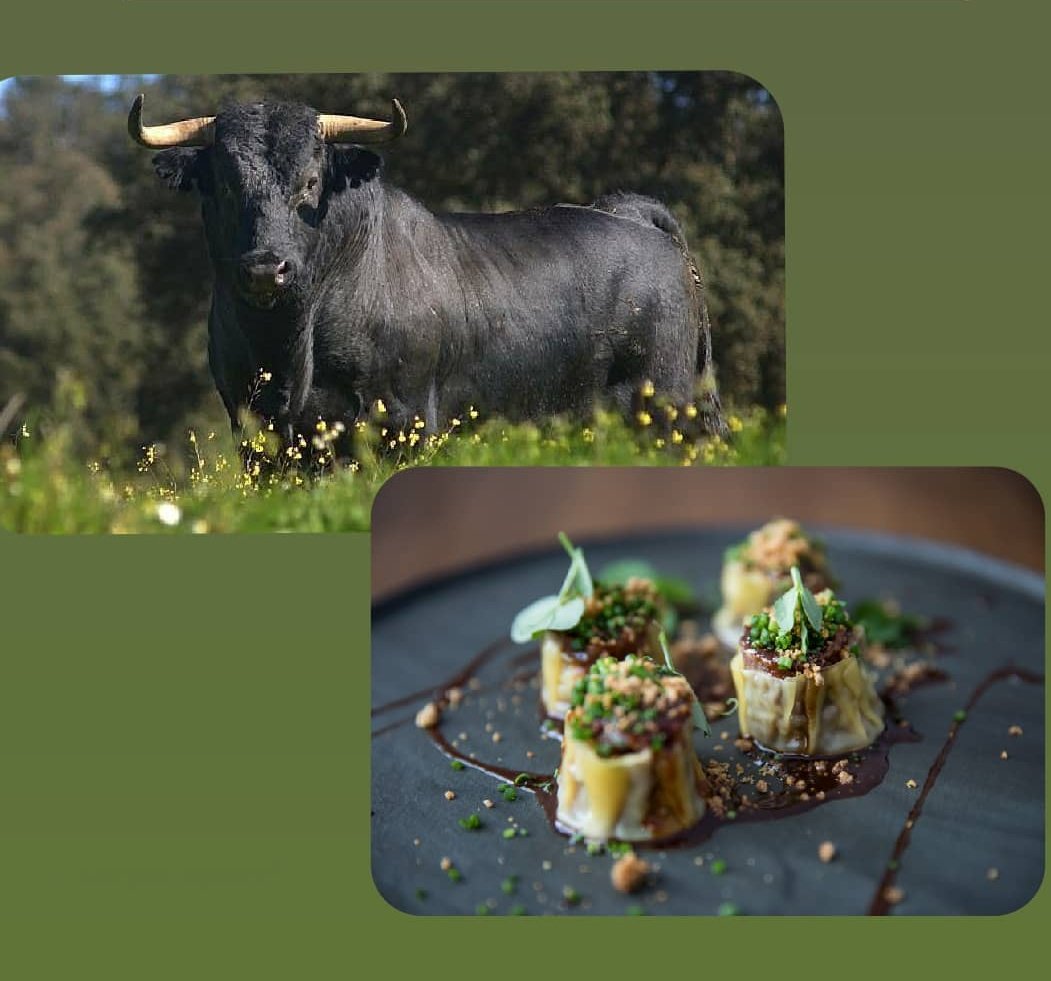 ⚠️Cita en <a href="/madridfusion/">madrid fusion</a> ⚠️

“EL TORO DE LIDIA Y SU APLICACIÓN EN LA COCINA DE MADRID Y VIAJERA”
<a href="/sergiolatasia/">sergio latasia</a> y <a href="/RobertoLatasia/">roberto Latasia</a> (Restaurantes <a href="/LatasiaCdC/">Latasia #cdc</a> y <a href="/taramara_madrid/">TARAMARA</a>), y la participación de Santiago Moreno, Jefe Producción Animal del <a href="/midra_i/">iMIDRA</a>.
🗓️01/06 de 18:00 a 19:30 h