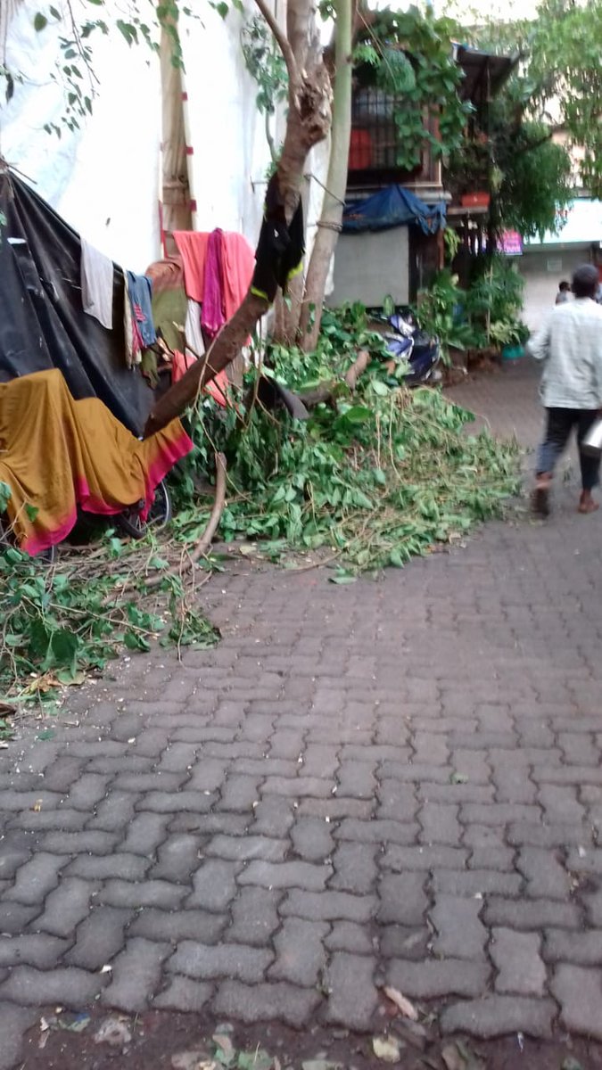 ParagMhatre's tweet photo. against the house owner: 246. 
Add: Juhu gowthan no 2, near raindrop CHS, Juhu church road, Juhu K west, Mumbai:400049 https://t.co/uFSzQ1dSk9