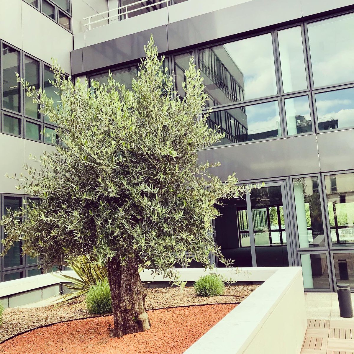 jchmarguin's tweet image. Nouveau projet à l’étude... +600m2 pour notre prochaine crèche Les Bullotins  +600m2 de lumière et de douceurs... 

A suivre...

#diversité #inclusion #crèches #tnd @iledefrance @hautsdeseinefr