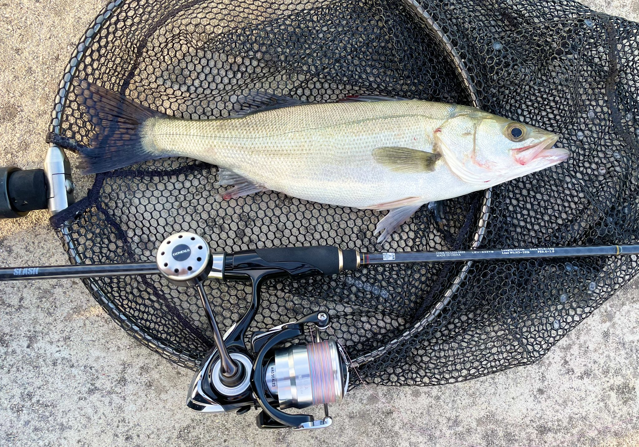 宮城釣り情報 Fishing L Twitter