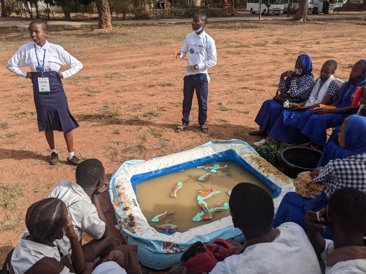 earthfluenza's tweet photo. Wow, what an excellent couple of days for our #solutions4climate festival #gambia - amazing, inspiring contributions and engagement from Gambian schools and NGOs @mrcunitgambia @PaulineScheelb1 @BonellAna @LSHTM_Planet 👏💪👍 https://t.co/uIrpuKfNz1