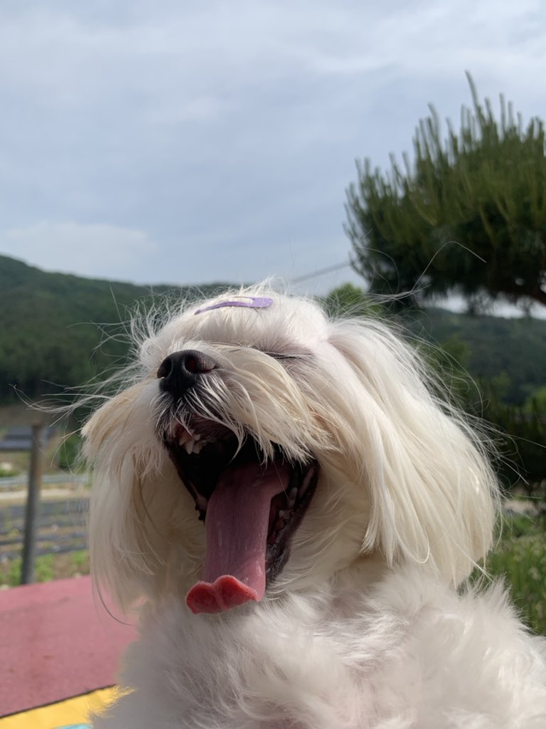 bshs1201's tweet photo. 아이고 피곤하다 https://t.co/vpNlGKuWrd