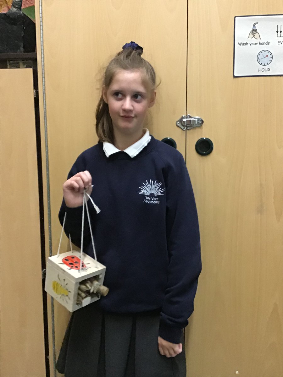 Tor_View_School's tweet photo. 4M created these ‘Bug Hotels’ using pencils, coloured pencils, recycled plywood, glue, nails, twigs & moss. They drew their own versions of bugs & insects, adding bright, vibrant colours to make their bug hotels stand out in the trees. #EduArtsFest #Art #TorView https://t.co/aUw5j4nBzf