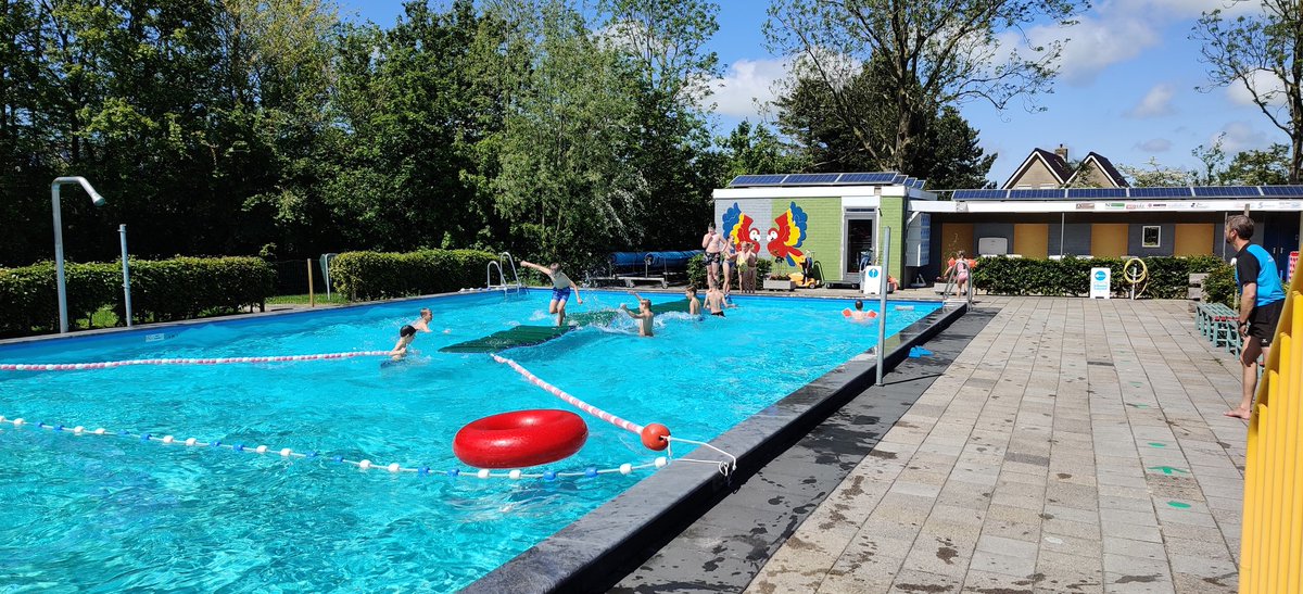 It begjint der al wat op te lykjen. Protte wille mei moai waar.