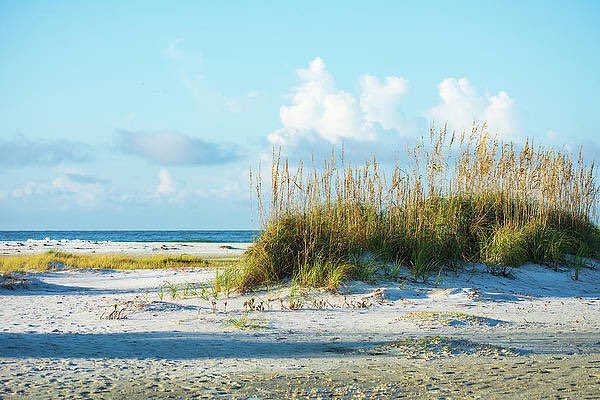 artzmaryann's tweet photo. Take me to the beach...
#beaches #beach #coastal #water #florida #seascapes #hiltonhead #travel #landscapes #sunrise #sunrises #beachvibes #annamariaisland #coastalliving #ocean #oceans #waves #artzydreams #beanpoint #holmesbeach #beauty #beachlife #beautifulday #clouds #skies https://t.co/eUzvf26x0U