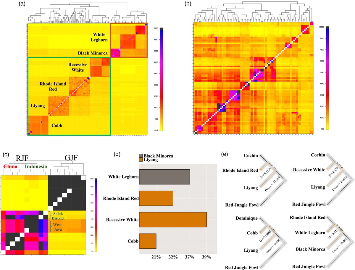 EvolAppJournal's tweet photo. Genome research reveal connections between populations and events in breeding history of chicken
https://t.co/gbOHaS7rPM
by Guo et al
@OrjanGenetiker @yingguo_ @yanjunzan 

#domestication #evolution #chicken #gallus #structure #Genetics #selection https://t.co/hXj0R66qyw
