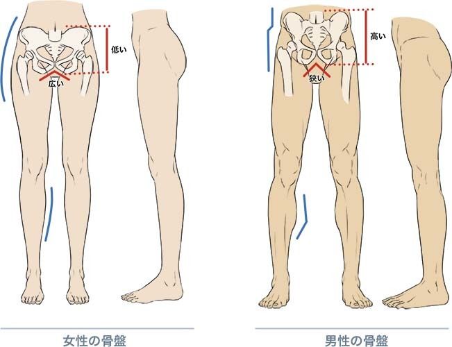 足の描き方のtwitterイラスト検索結果