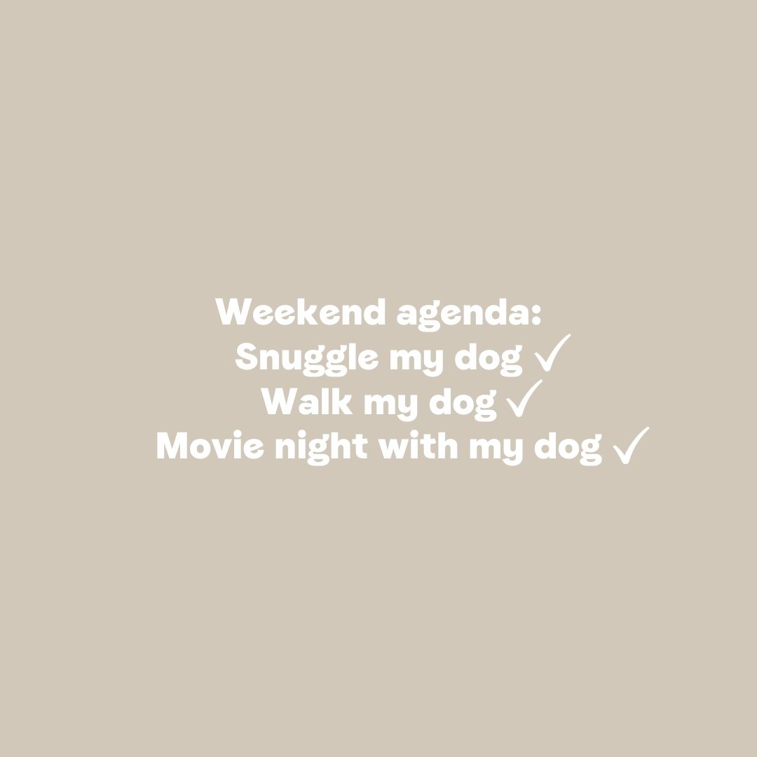 APLMagazine's tweet photo. Our weekend agenda🌟 https://t.co/EQle4UKuA8