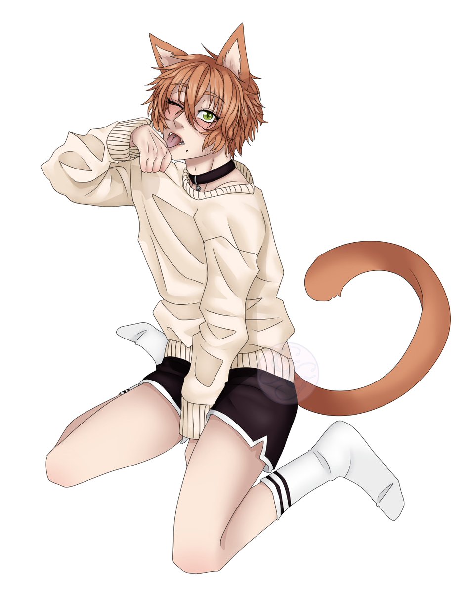 GenGaspard's tweet photo. catboy supremacy. Haruka supremacy!!! https://t.co/oHkbfxgb7B