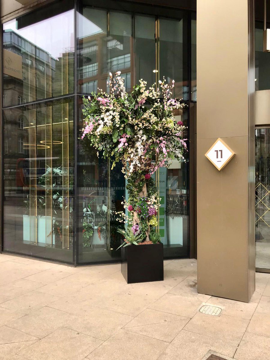 If you’re in Manchester over the next week, please make time to have a look at all the @MCRFlowerShow displays dotted about. UPNW are proud to have helped created the amazing display at 11 Portland Street 👌🏻🌸🌺🛁 #11PSsoakinthecity #manchesterflowershow #plantlove #upnw